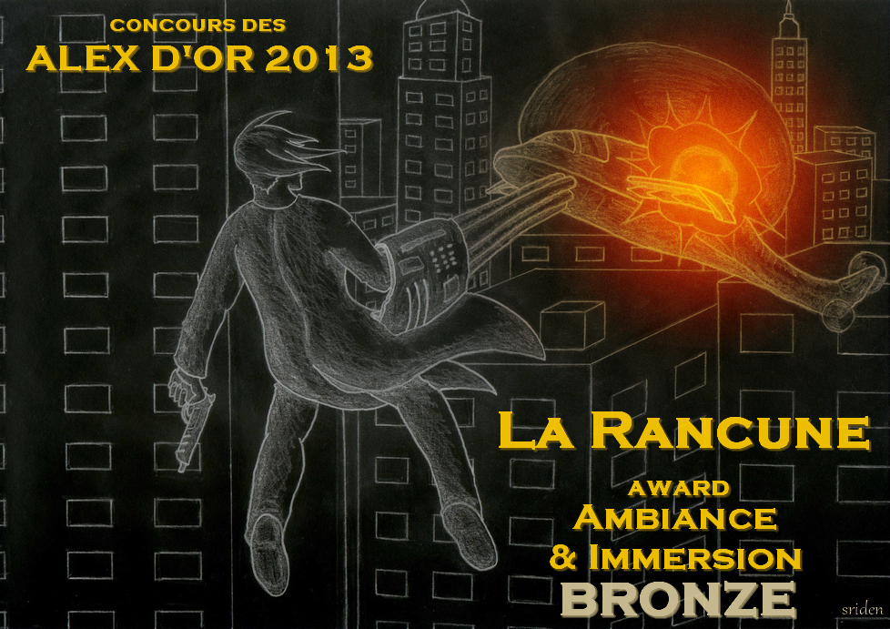 Award de Ambiance & Immersion (2013)