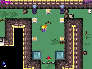 Screenshot de Super Princesse Zelda (2006)